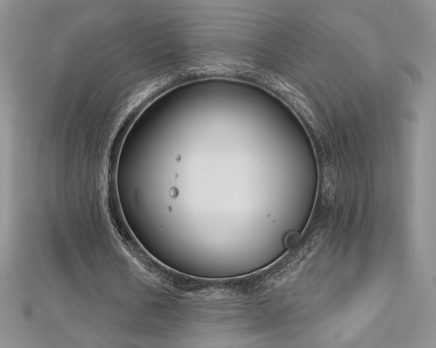 X0000113160578200909041257