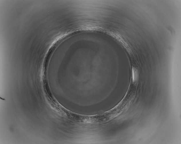 X0000113160579200909041257