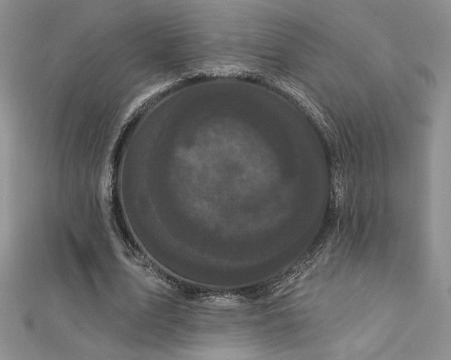 X0000113160583200909041257