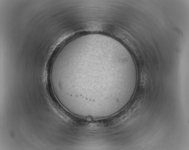 X0000113160584200909041257