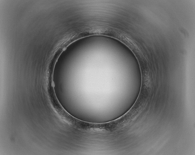 X0000113160586200909041257