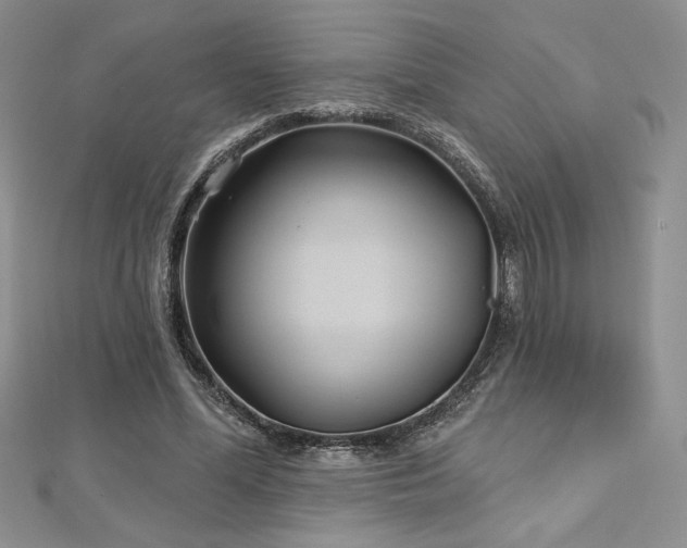 X0000113160588200909041257