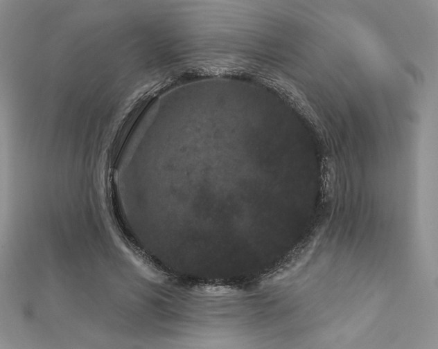 X0000113160590200909041257