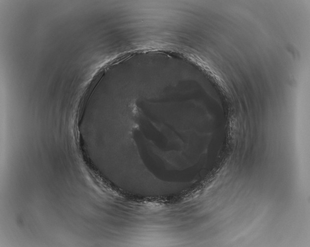 X0000113160592200909041257