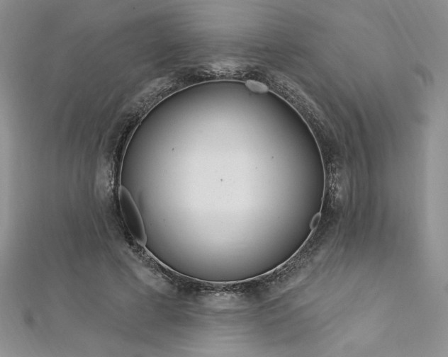 X0000113160593200909041257