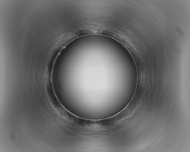 X0000113160594200909041257