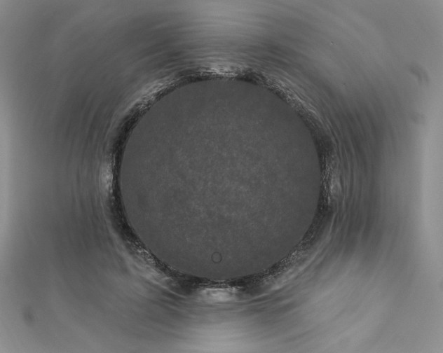 X0000113160595200909041257