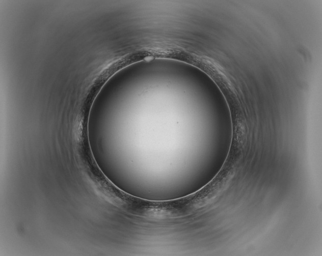 X0000113160596200909041257