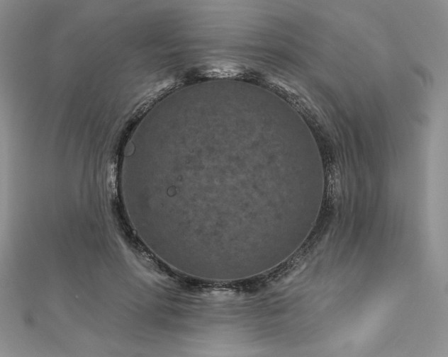 X0000113160598200909041257