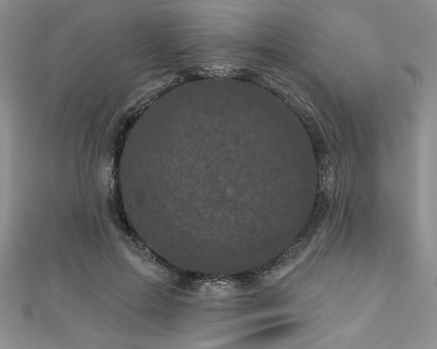 X0000113160599200909041257