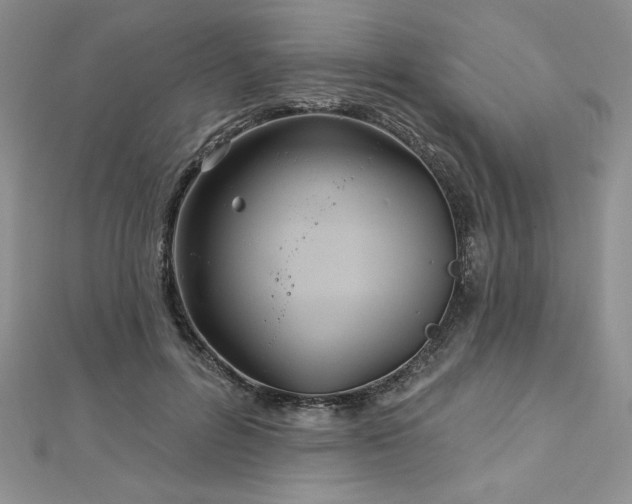 X0000113160600200909041257