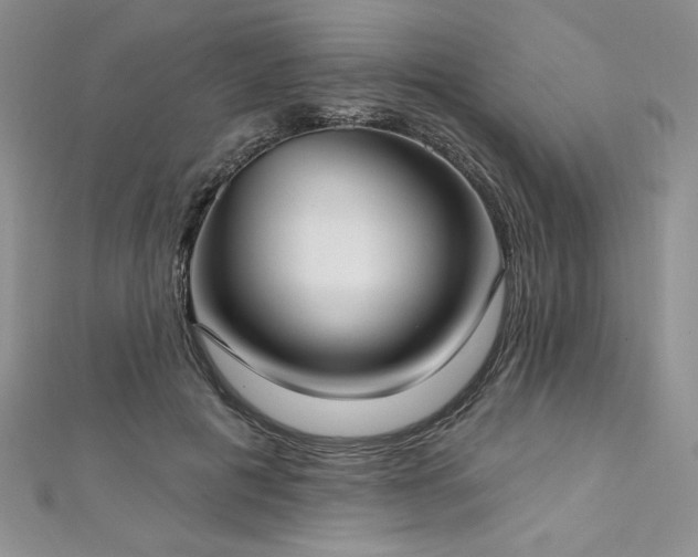 X0000113160601200909041257