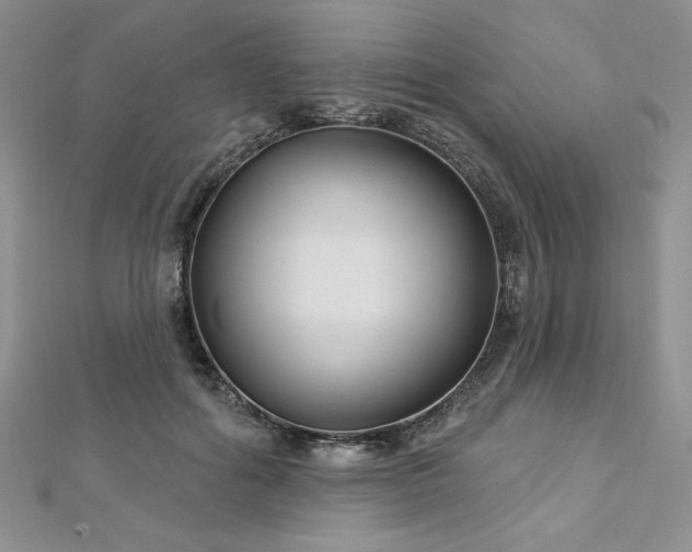 X0000113160602200909041257