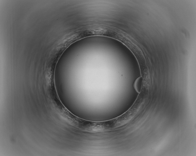 X0000113160604200909041257