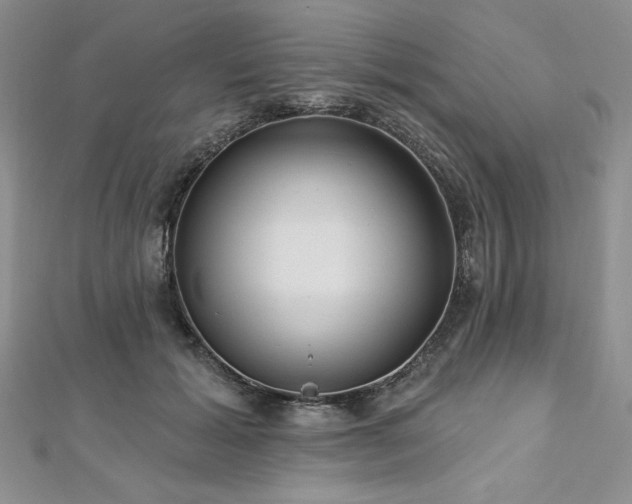 X0000113160605200909041257