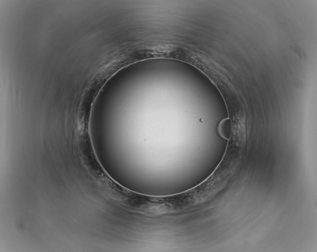 X0000113160608200909041257