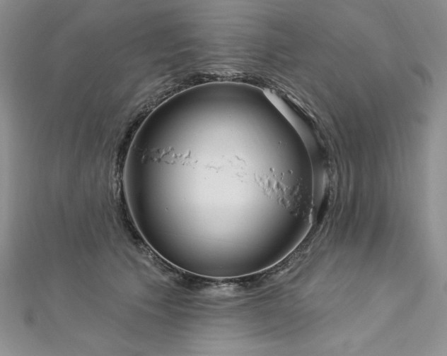 X0000113160609200909041257