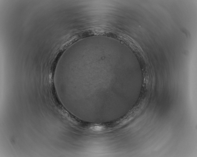 X0000113160610200909041257