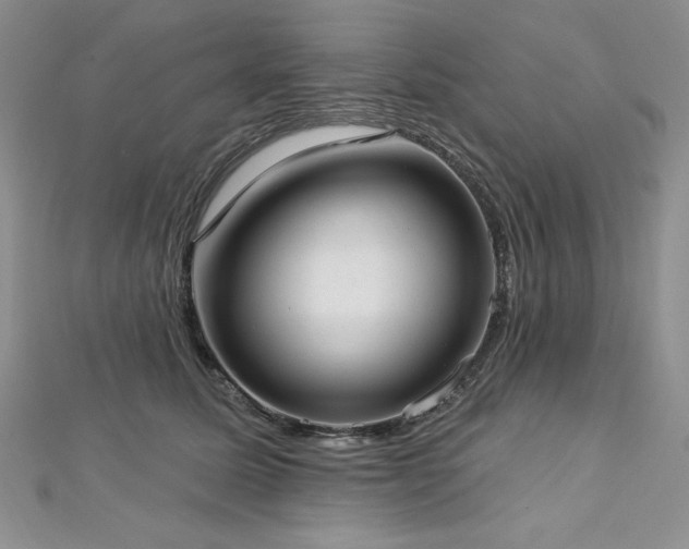 X0000113160611200909041257