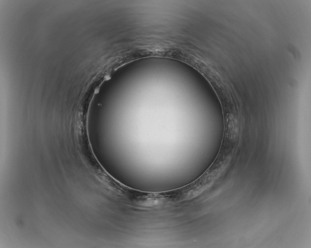 X0000113160612200909041257