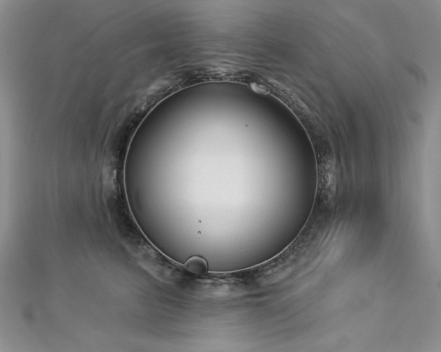 X0000113160615200909041257