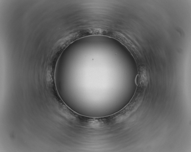 X0000113160616200909041257