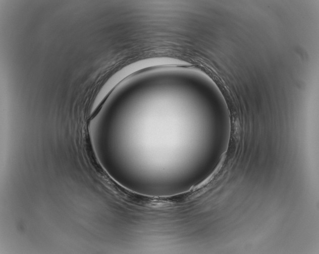 X0000113160617200909041257