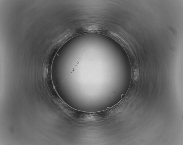X0000113160618200909041257