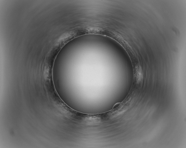 X0000113160619200909041257