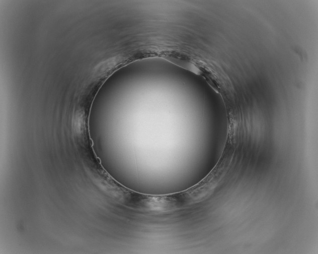 X0000113160623200909041257
