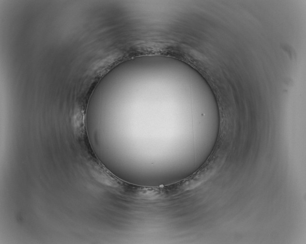 X0000113160624200909041257