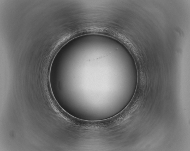X0000113160625200909041256