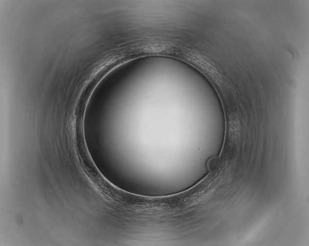 X0000113160626200909041256