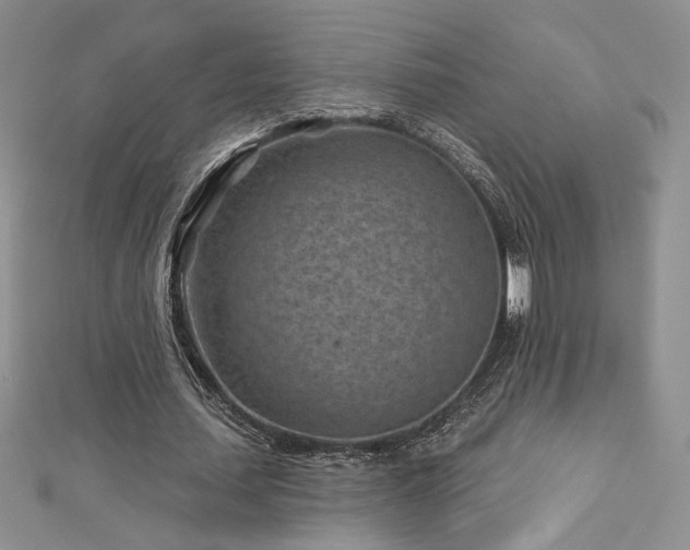 X0000113160627200909041256