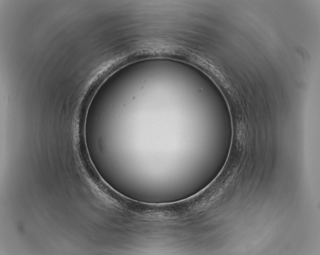 X0000113160629200909041256