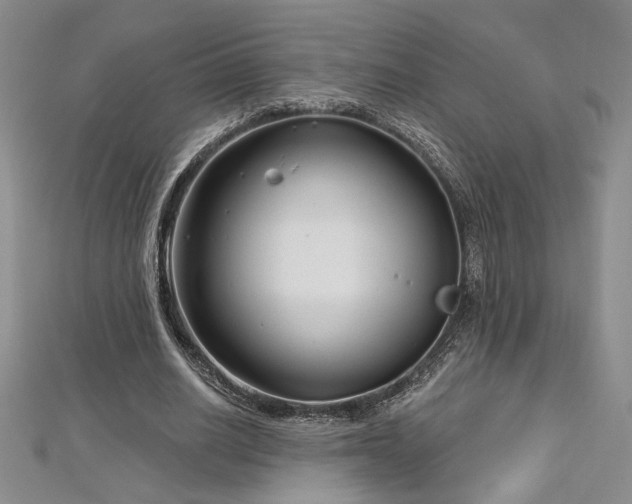 X0000113160630200909041256