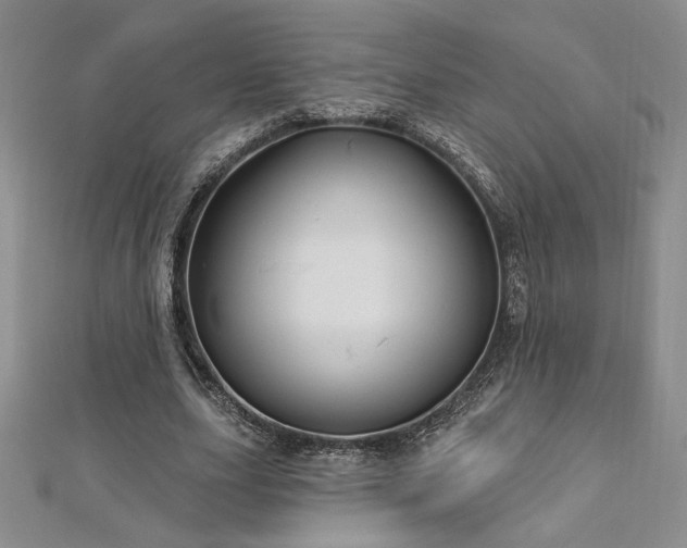 X0000113160631200909041256