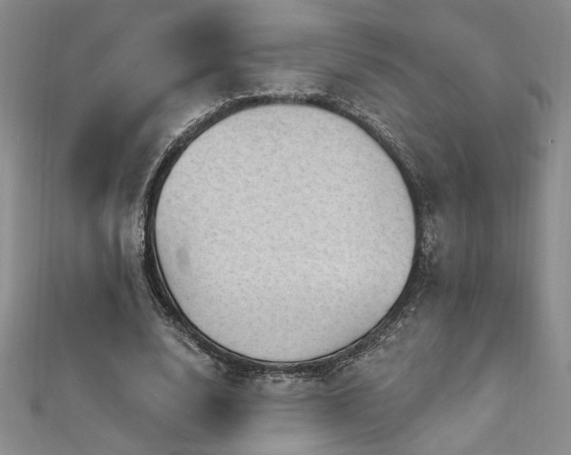 X0000113160632200909041256