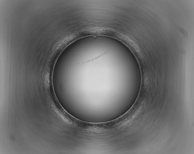 X0000113160633200909041256