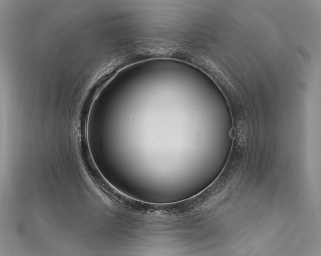 X0000113160634200909041256