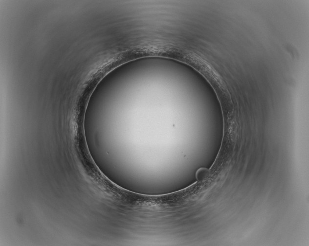 X0000113160635200909041256