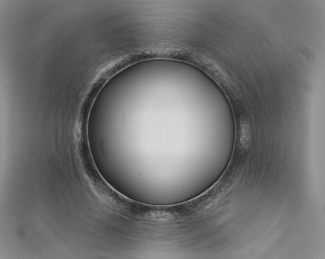 X0000113160636200909041256