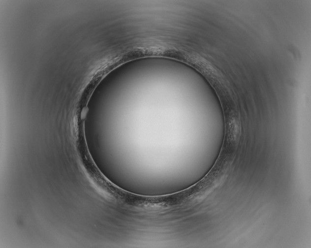 X0000113160638200909041256