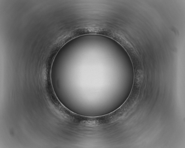 X0000113160639200909041256