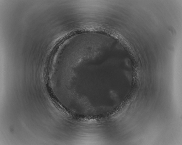 X0000113160640200909041256
