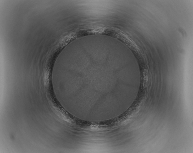 X0000113160641200909041256