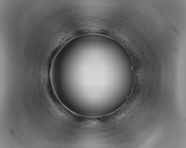X0000113160642200909041256