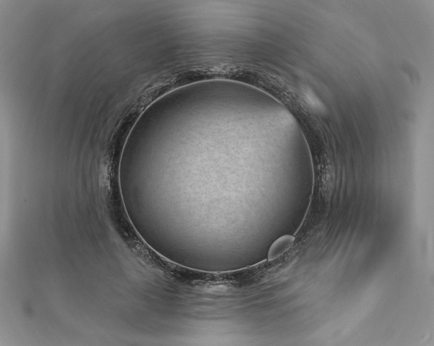 X0000113160643200909041256