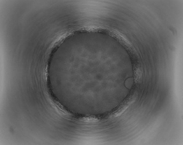 X0000113160644200909041256