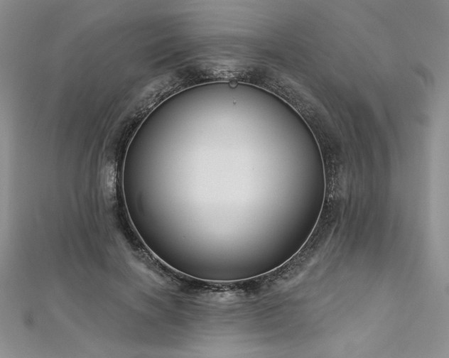 X0000113160646200909041256